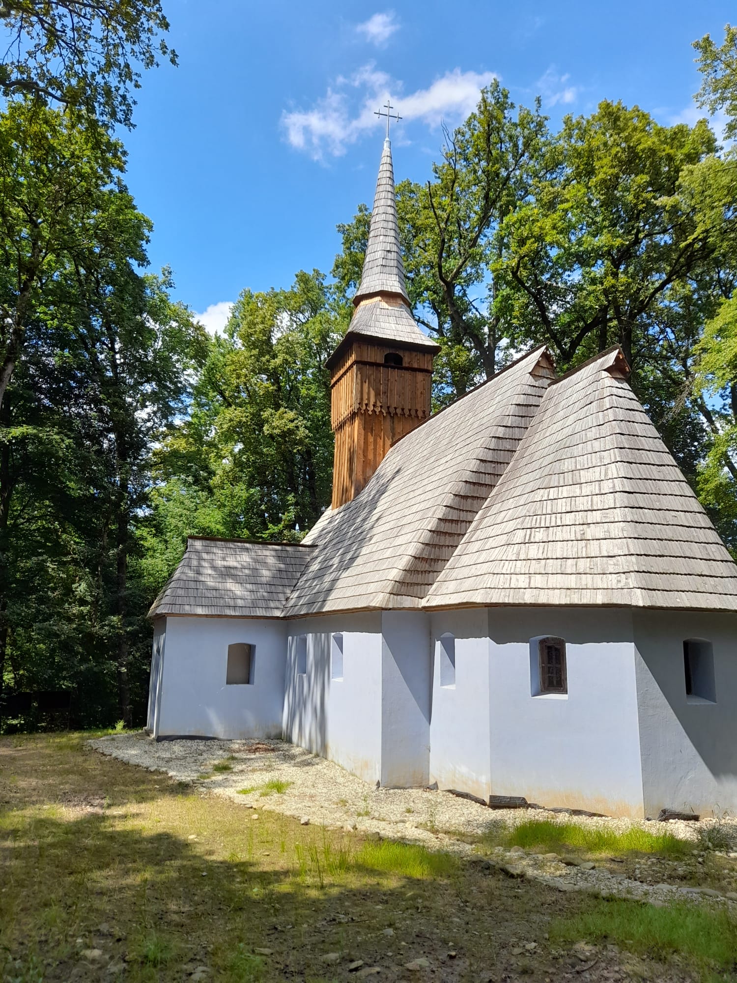 muzeul astra sibiu (6)