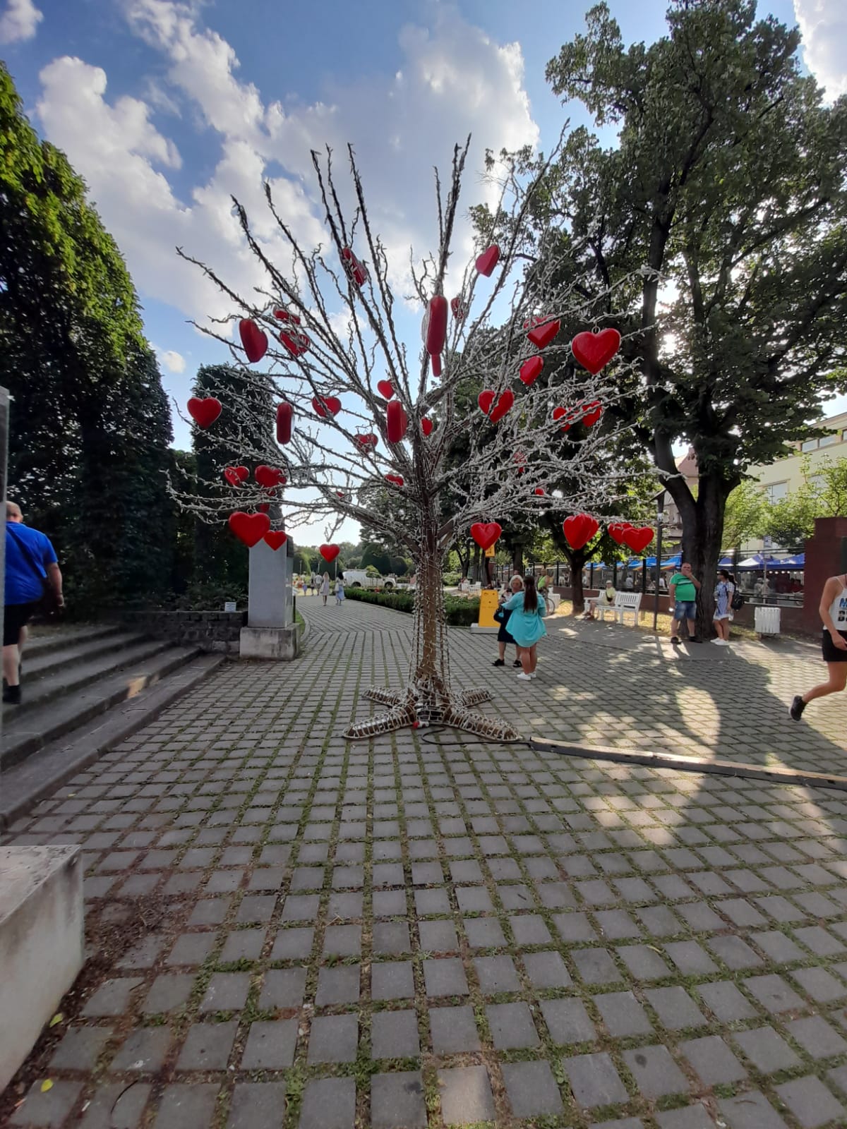 festivalul inimilor parcul rozelor (5)