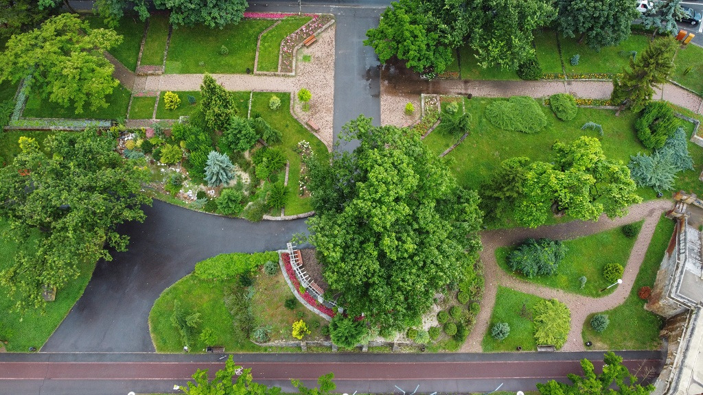 covoare florale horticultura flori timisoara (2)