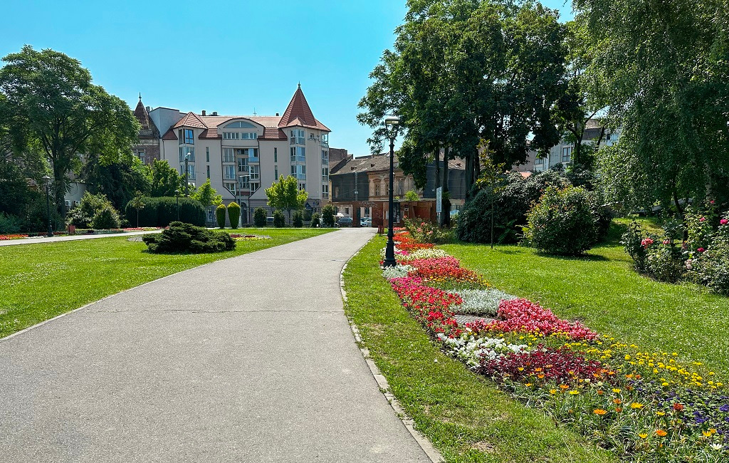 covoare florale horticultura flori timisoara (5)