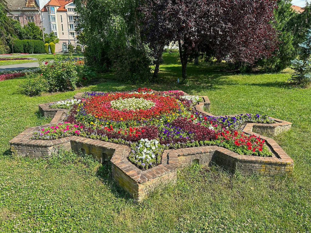 covoare florale horticultura flori timisoara (6)