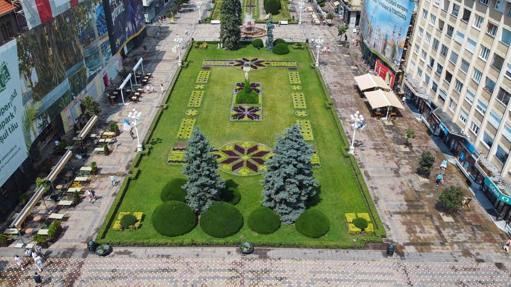 covoare florale horticultura flori timisoara (9)