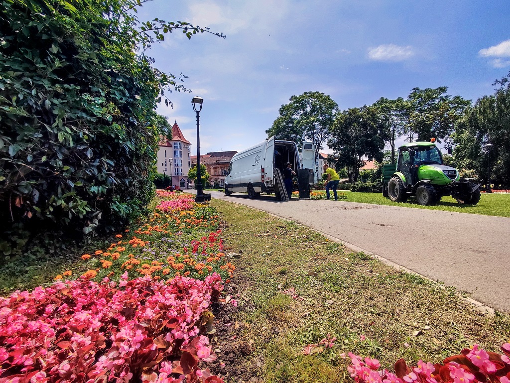 foto: Horticultura Timișoara