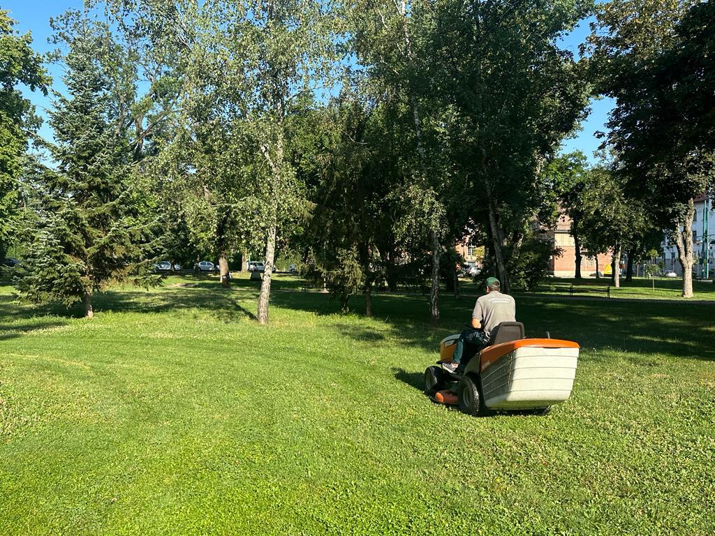 foto: Horticultura Timișoara