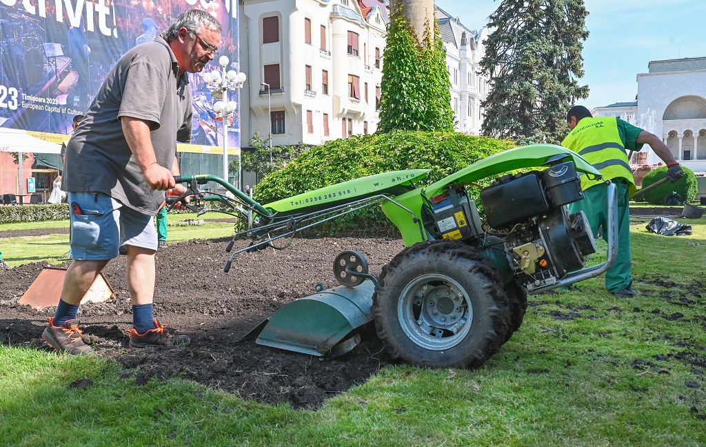 Horticultura Timișoara