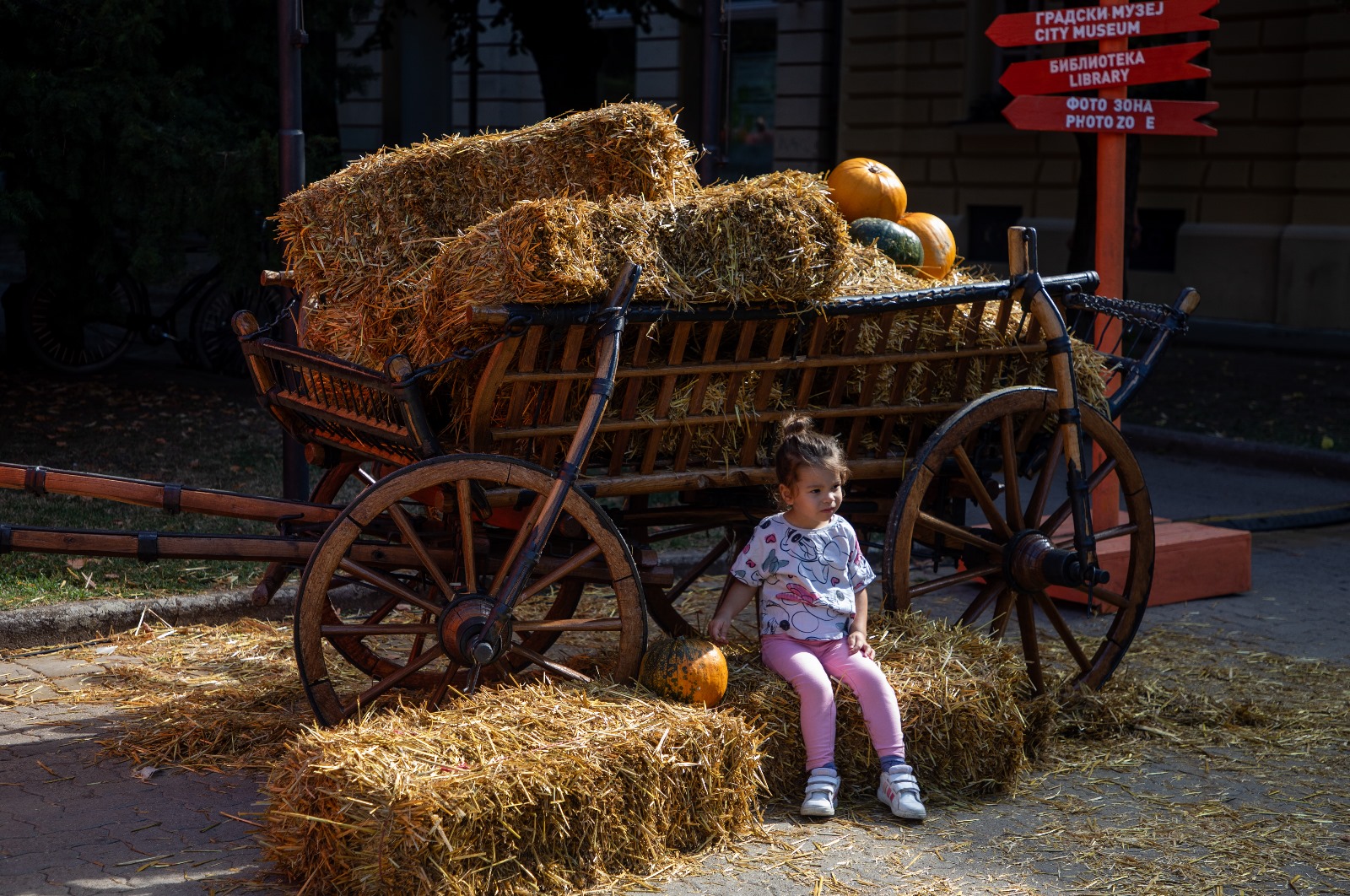 Festivalul Dovleacului de la Kikinda 2023 (15)