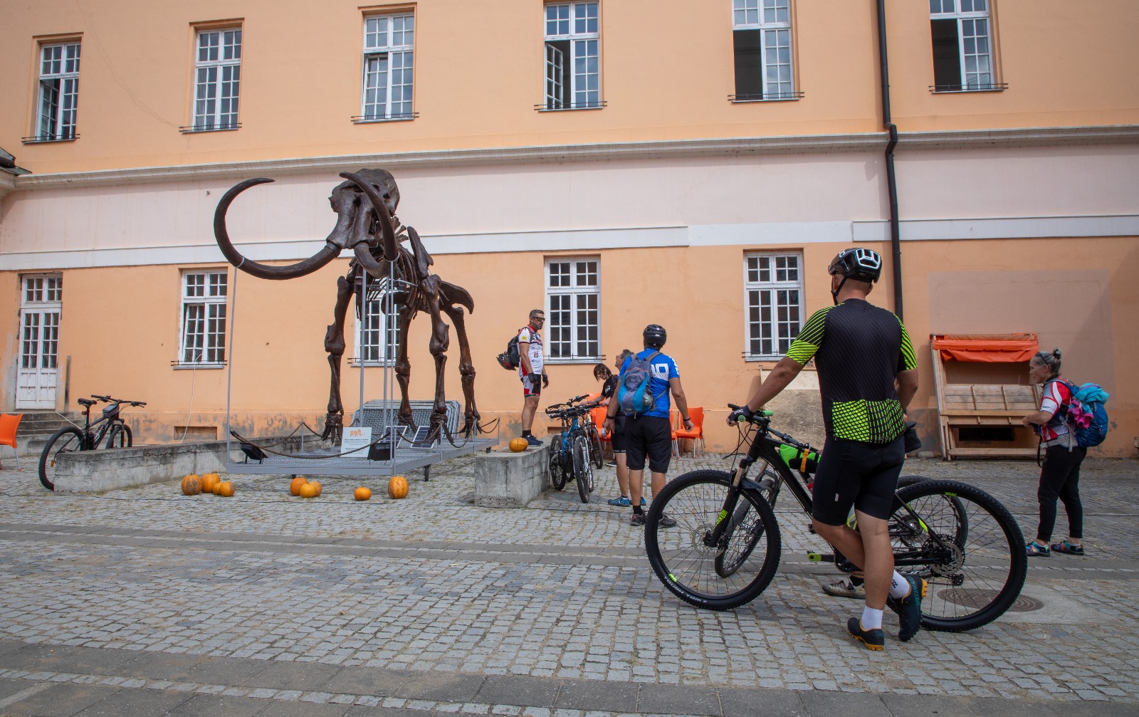 Festivalul Dovleacului de la Kikinda 2023 (31)