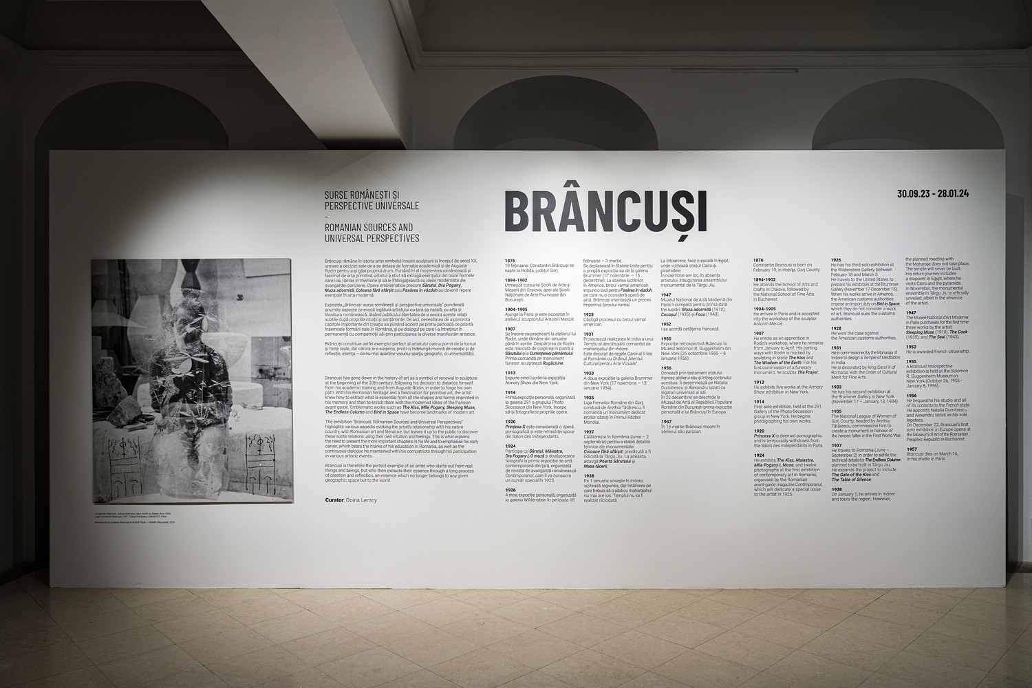 Expoziția Brâncuși la Timișoara