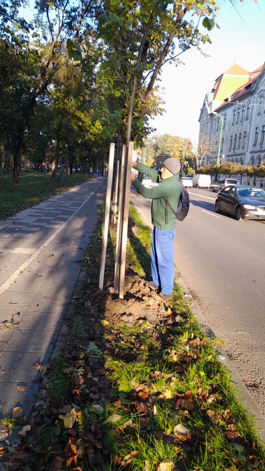 Campanie de plantare de toamnă la Timișoara