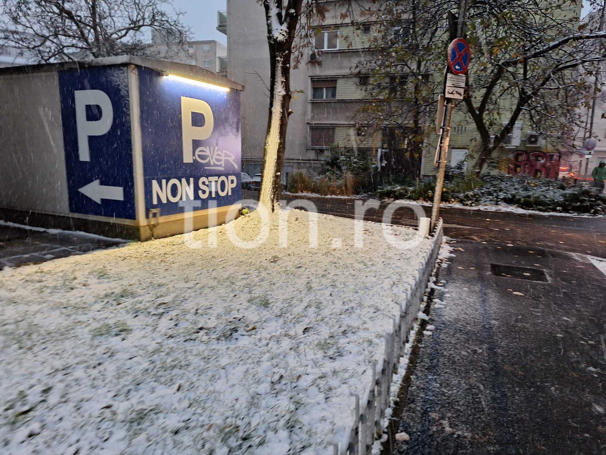 ninsoare zapada timisoara ninge