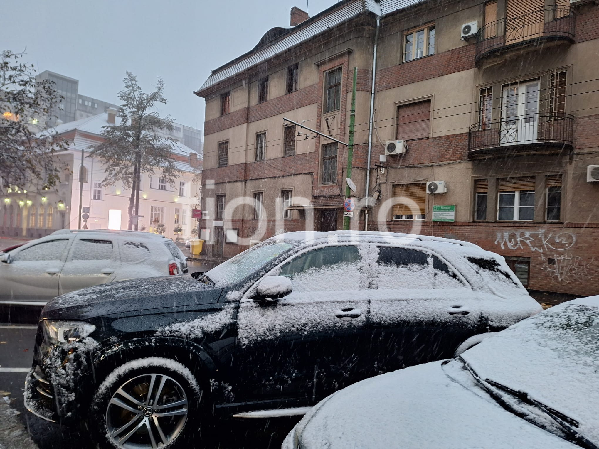 ninsoare zapada timisoara ninge