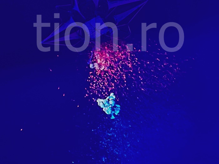 foto: Tion