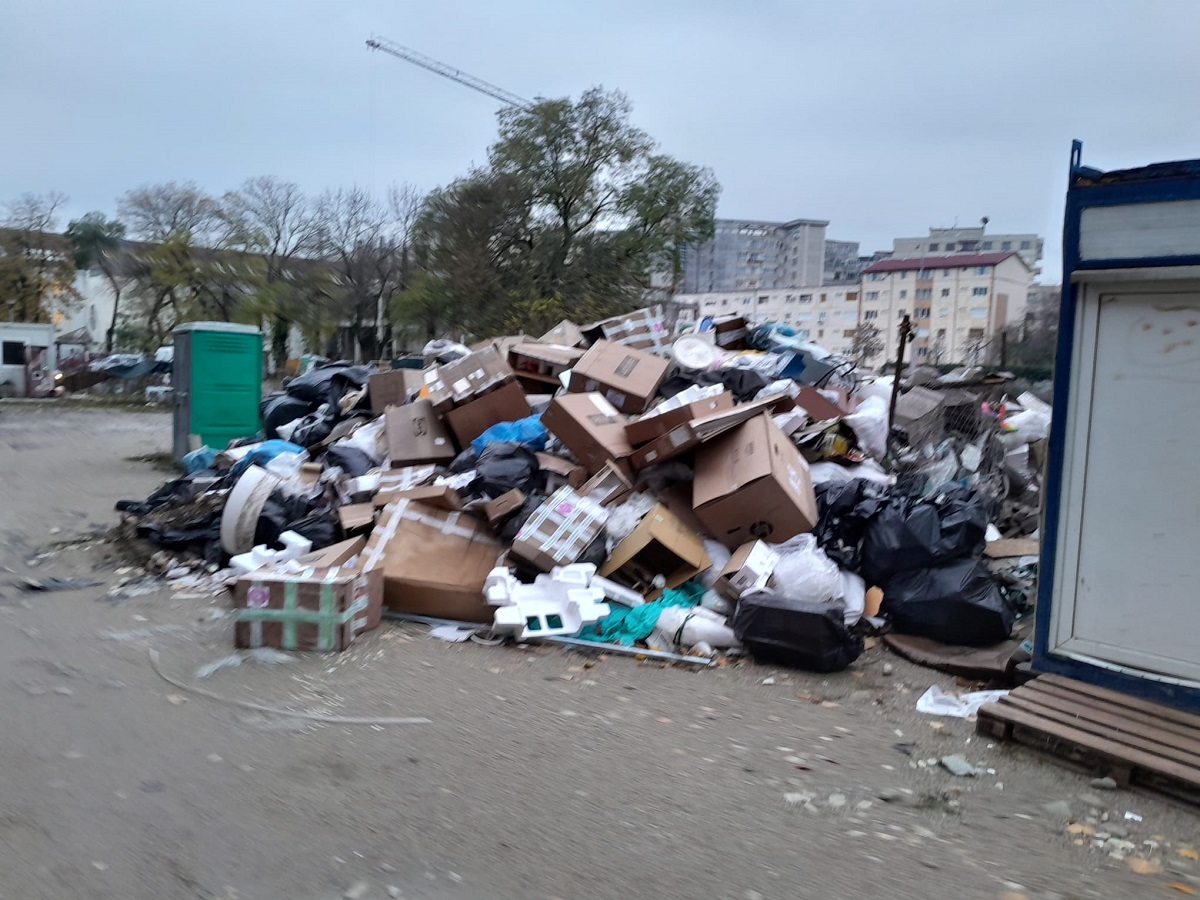 Amenzi pe linie de mediu Timișoara