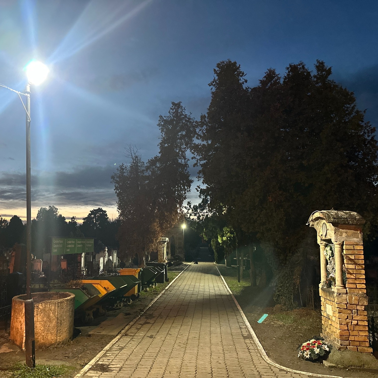 Cimitir Calea Șagului