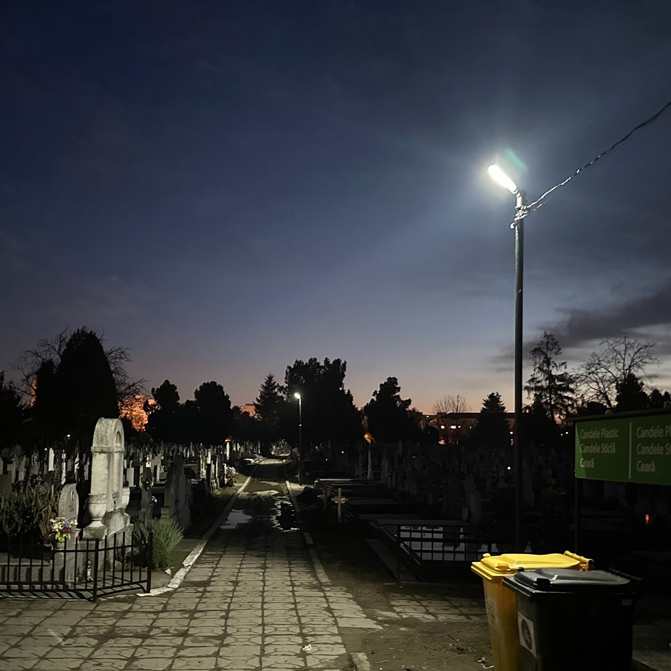 horticultura cimitir calea sagului (4)