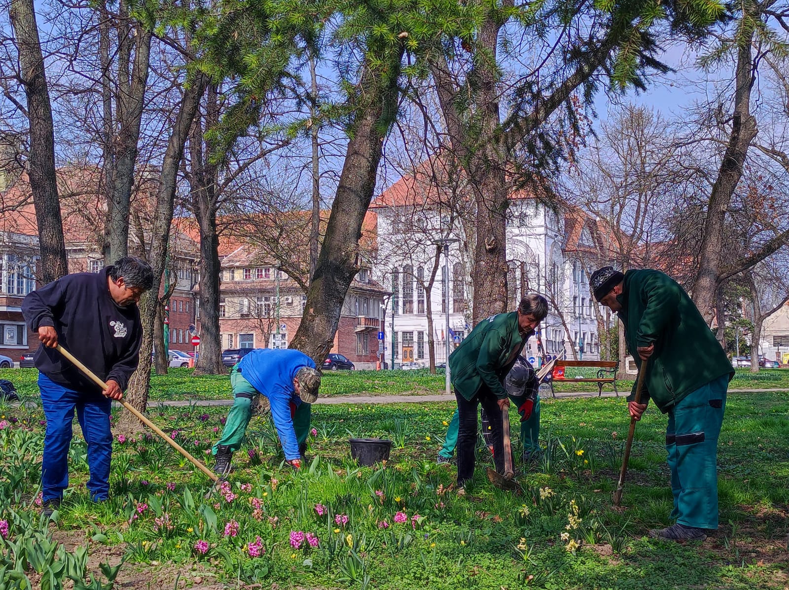 Parcul Justiției lucrări Horticultura 4