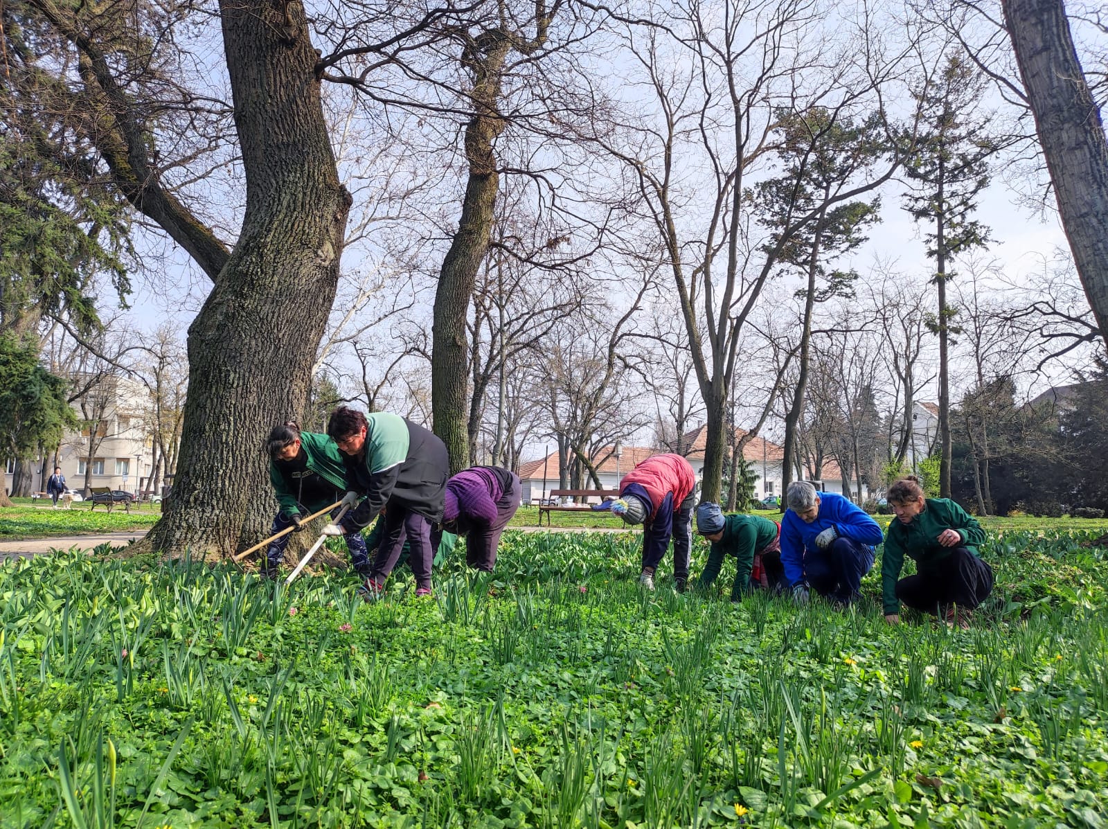 Parcul Justiției lucrări Horticultura 2