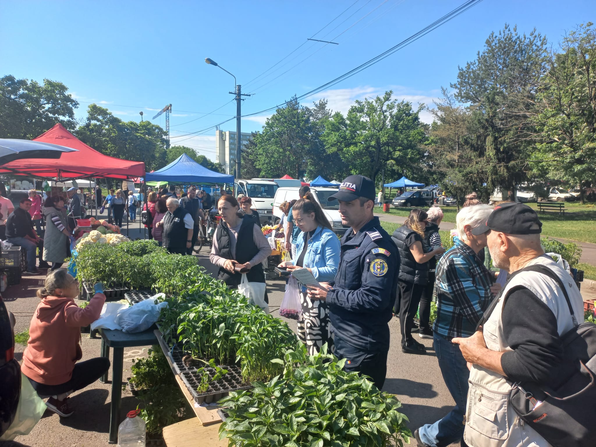 politisti informare stadion piata (6)