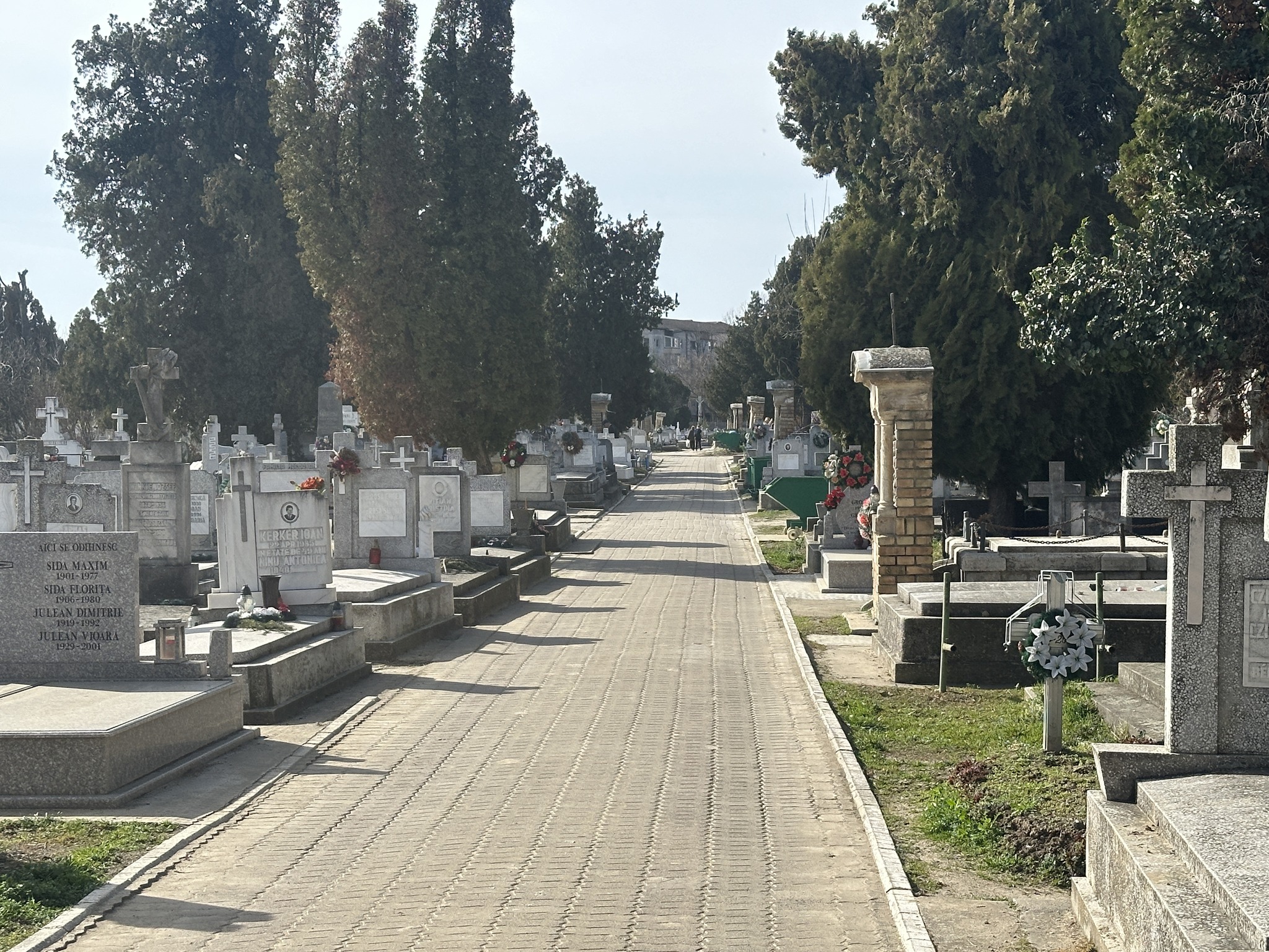 cimitir (8)