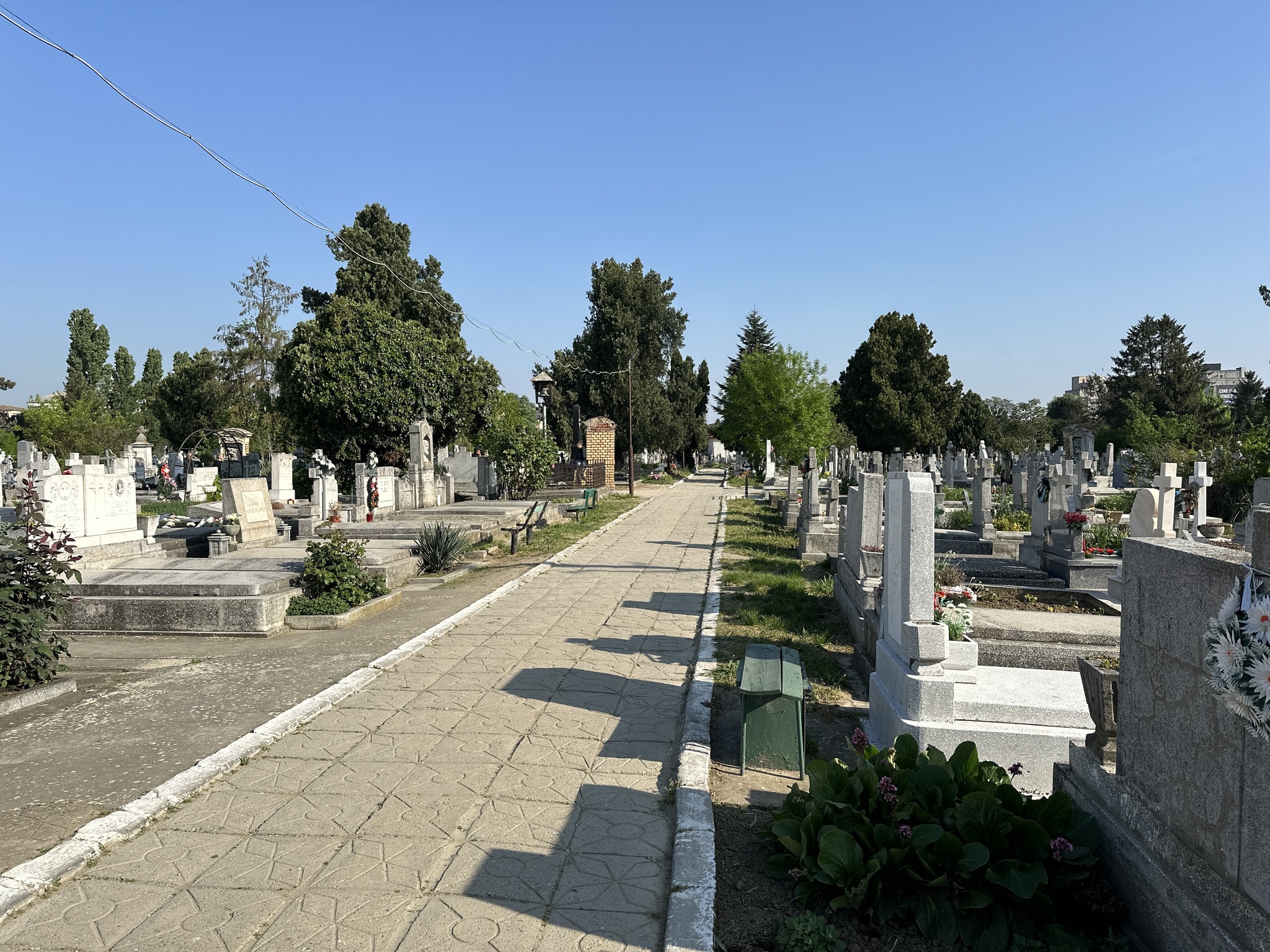 cimitir (13)