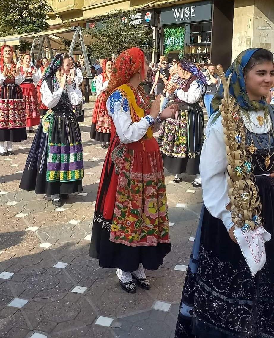 parada portului popular festivalul inimilor 2024 (19)