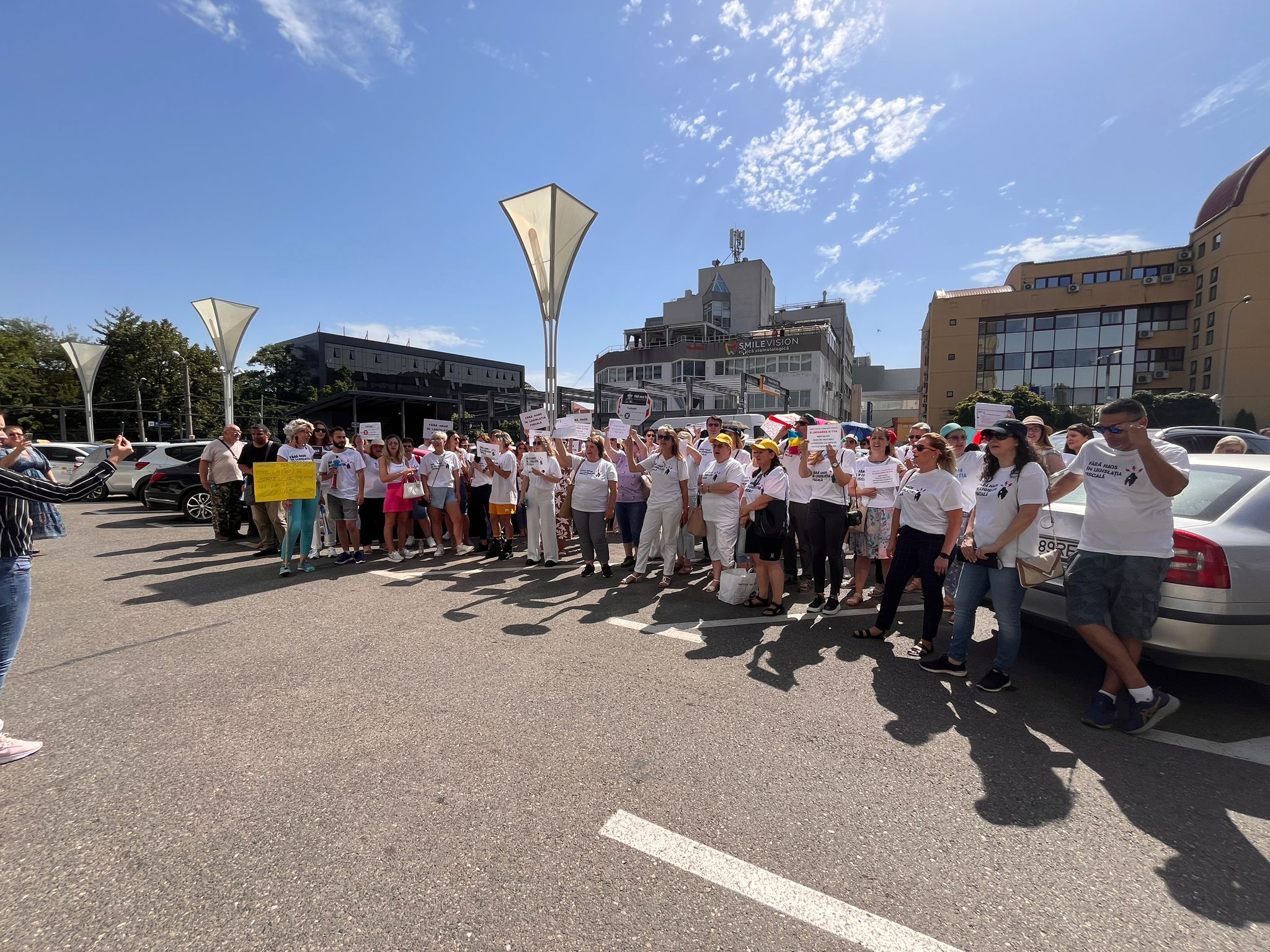 protest contabili anaf (6)