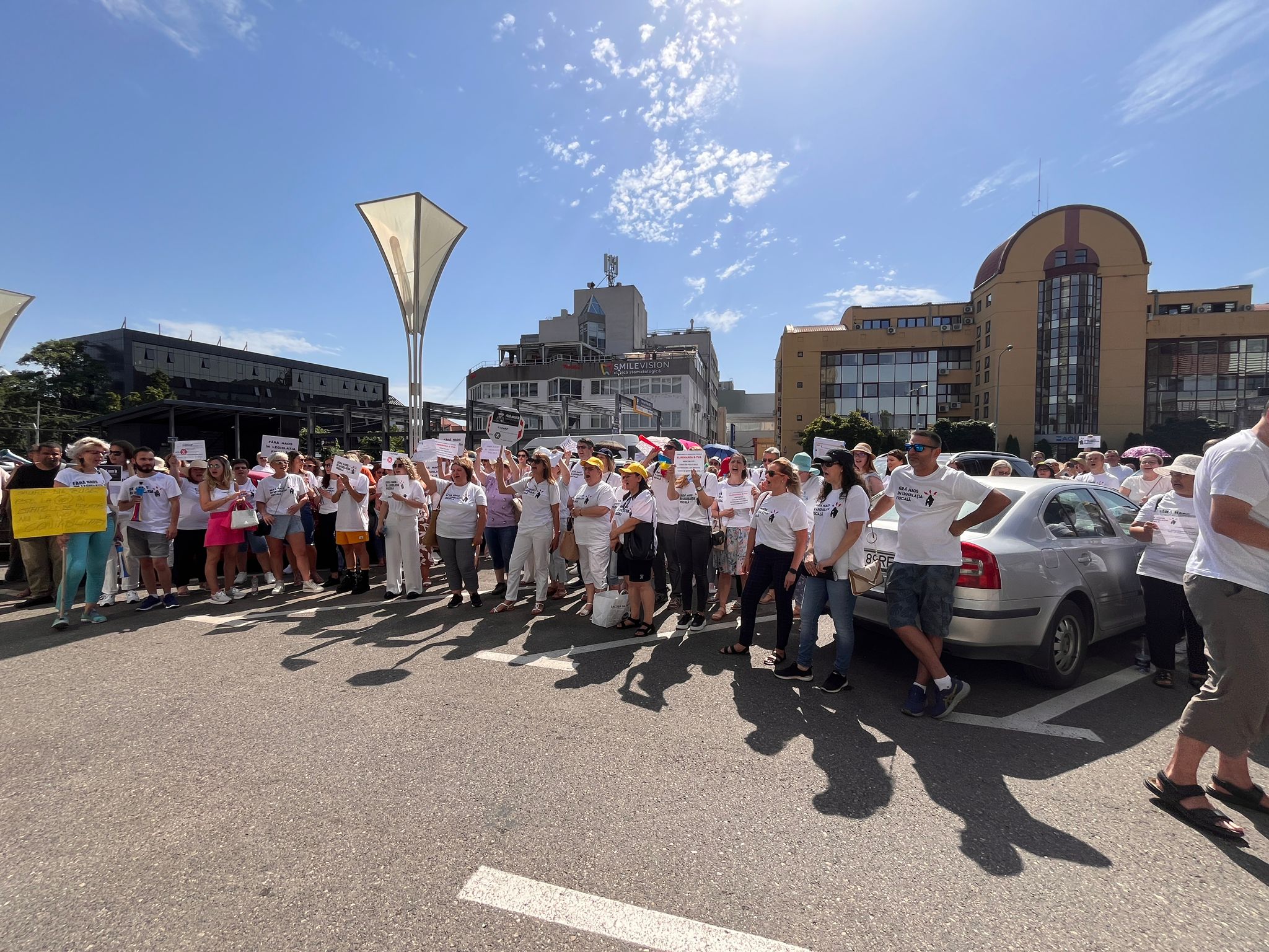 protest contabili anaf (7)