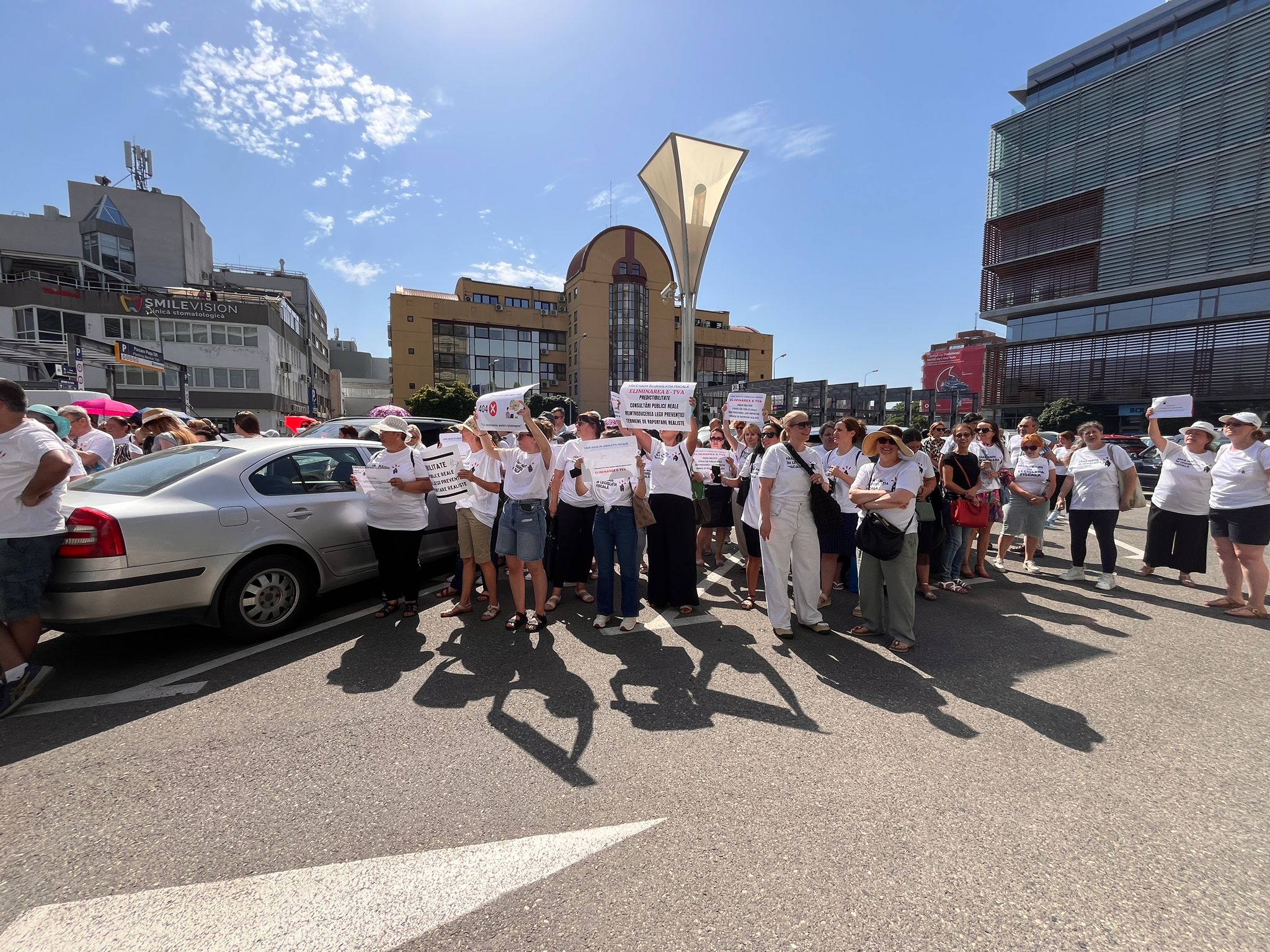 protest contabili anaf (10)