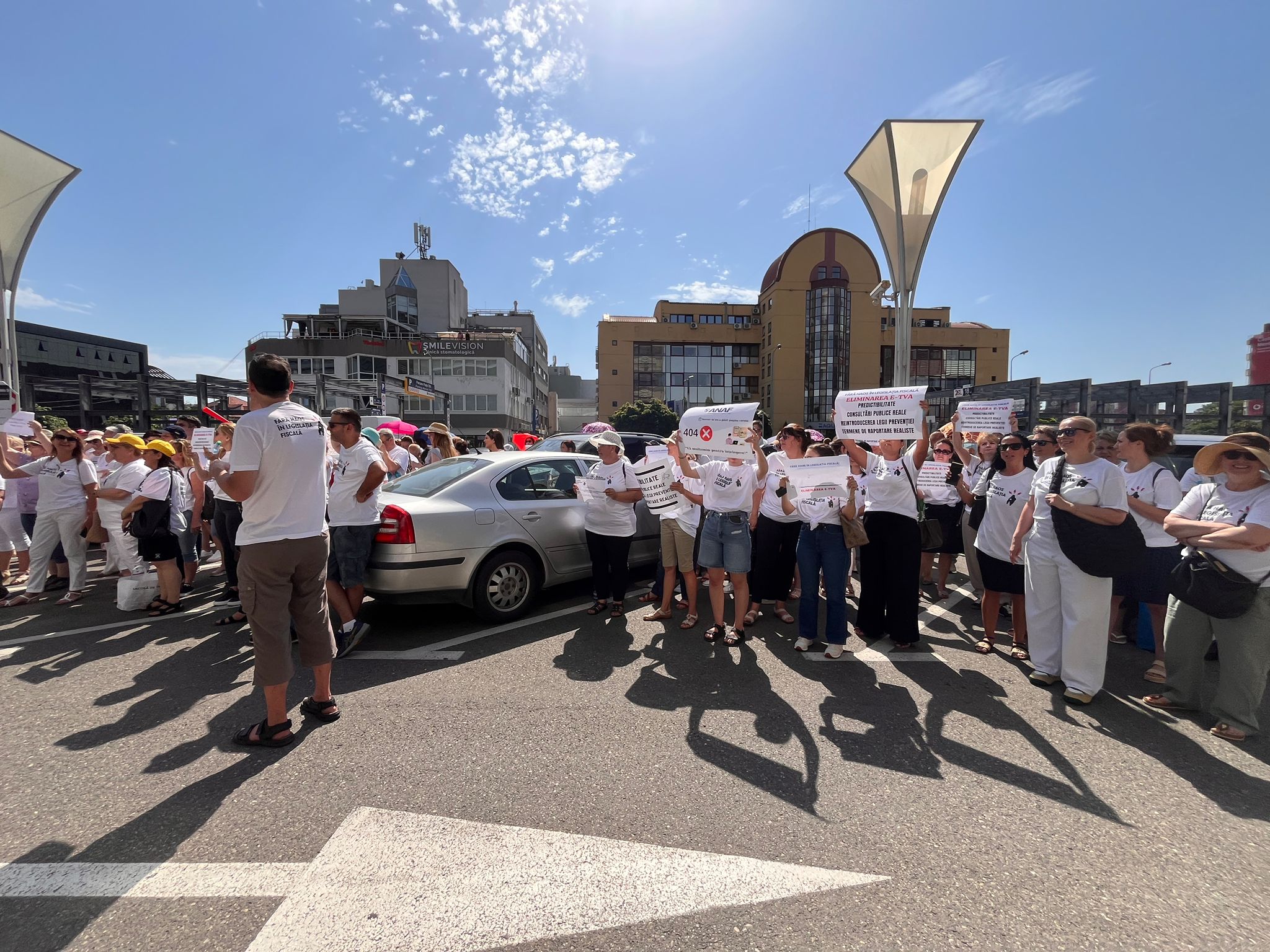 protest contabili anaf (11)