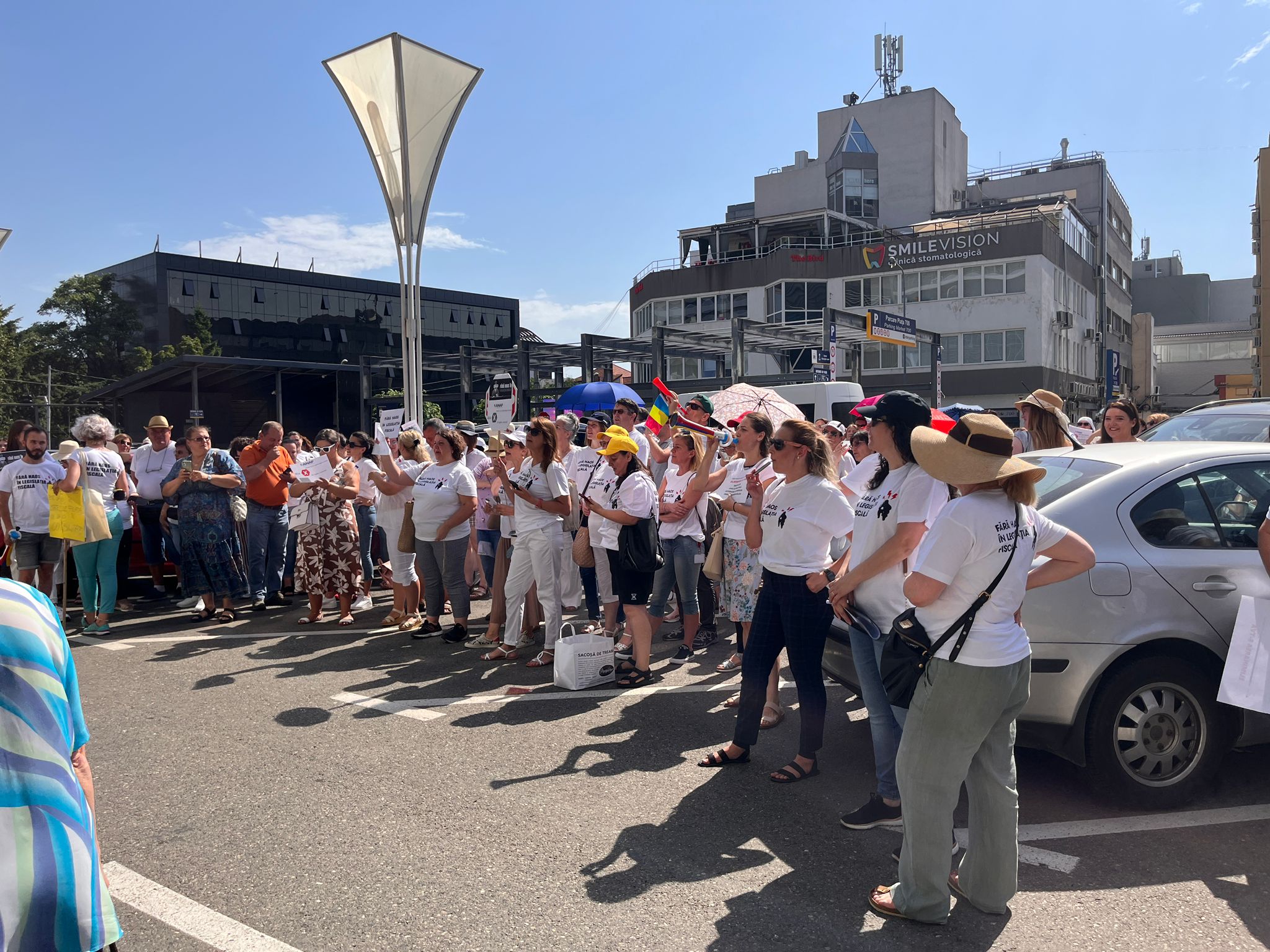 protest contabili anaf (3)