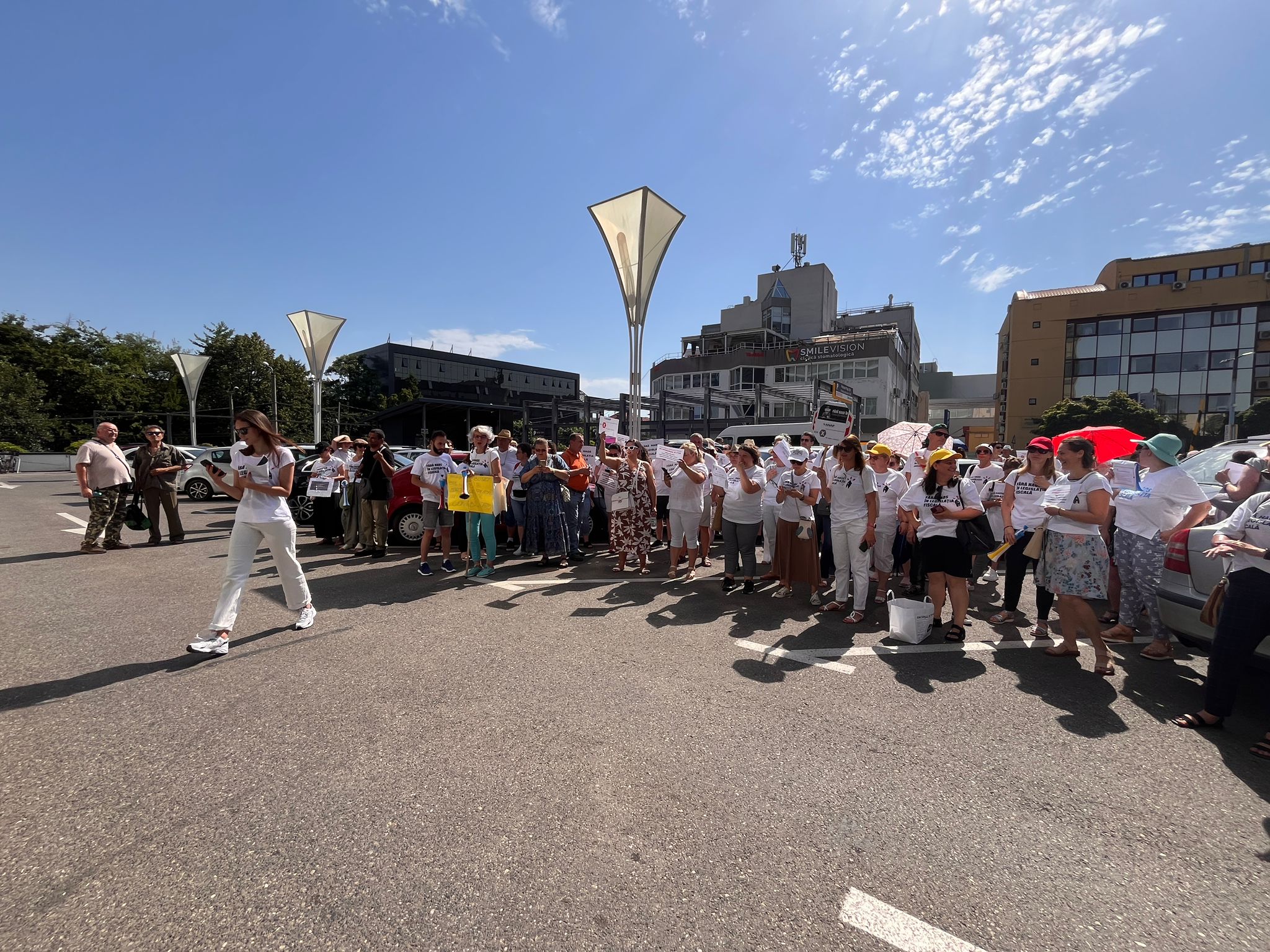 protest contabili anaf (15)