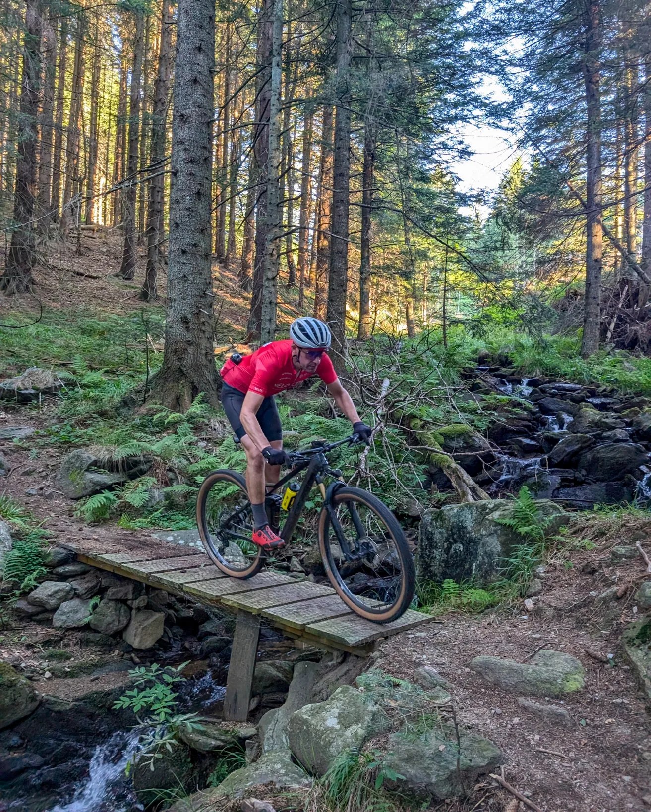 mountain bike văliug 9