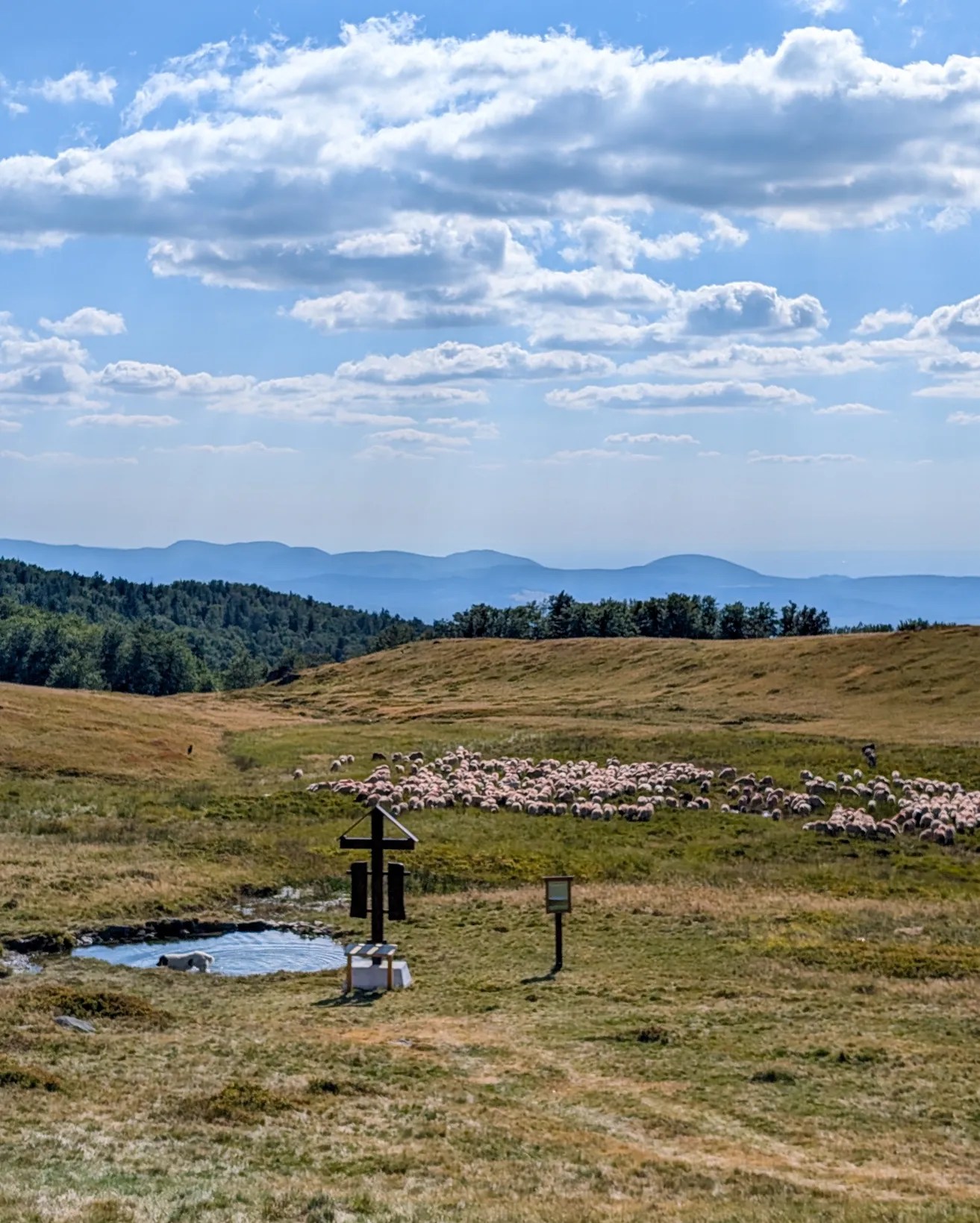 mountain bike văliug 6