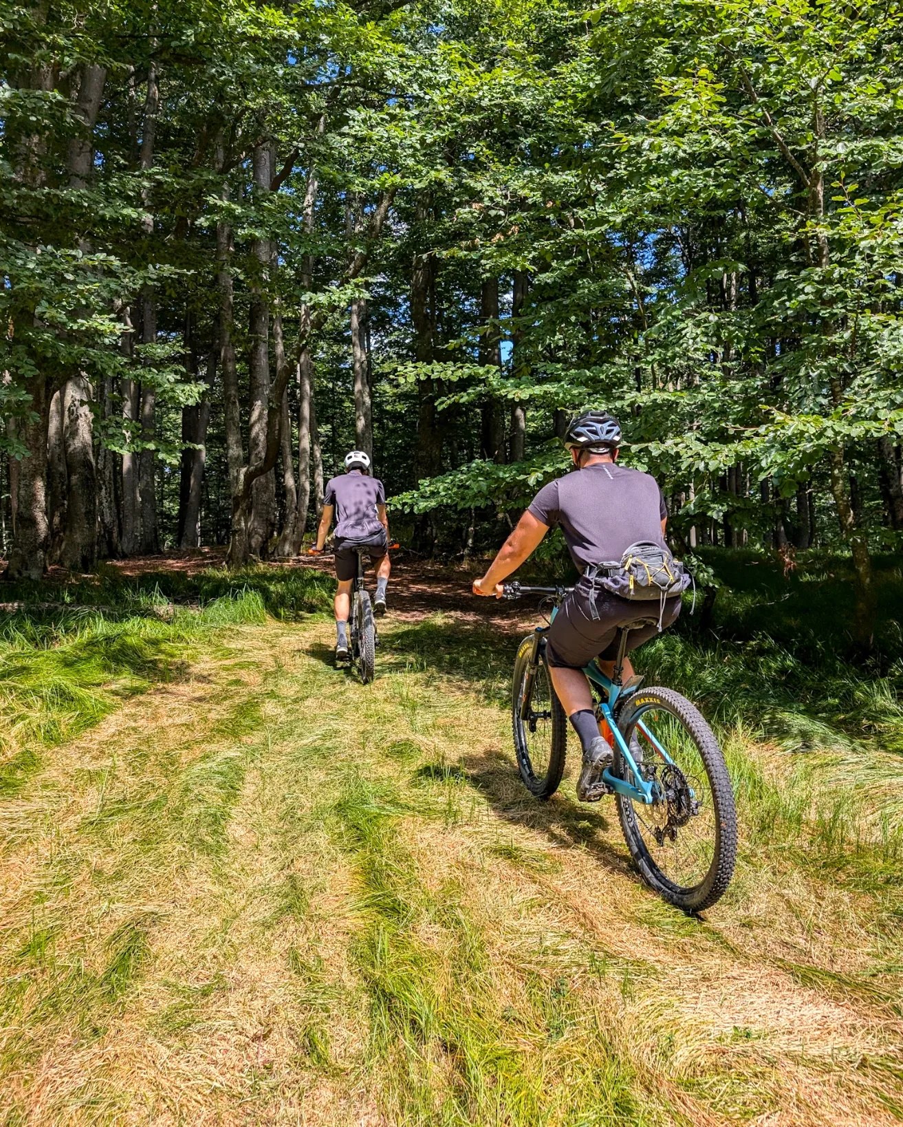 Mountain bike