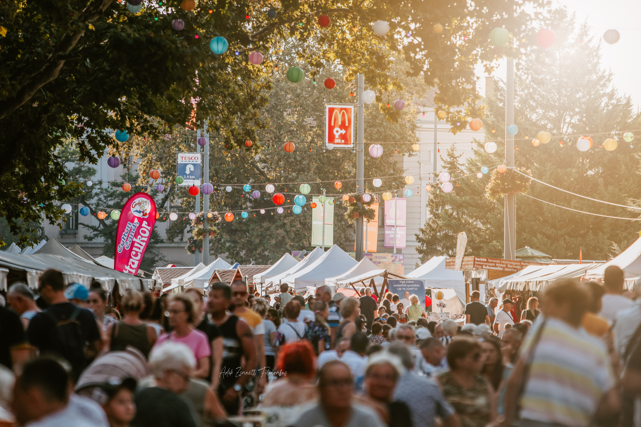 festivalul cepei mako (15)