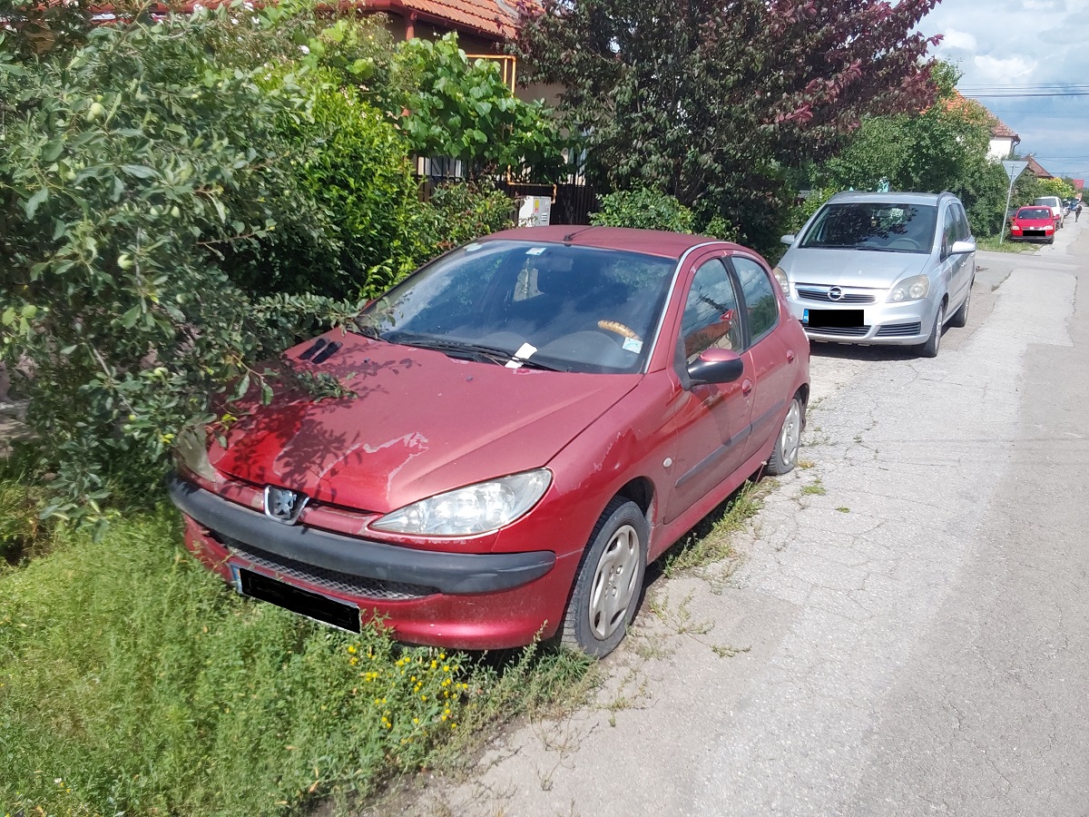 Mașini abandonate Timișoara