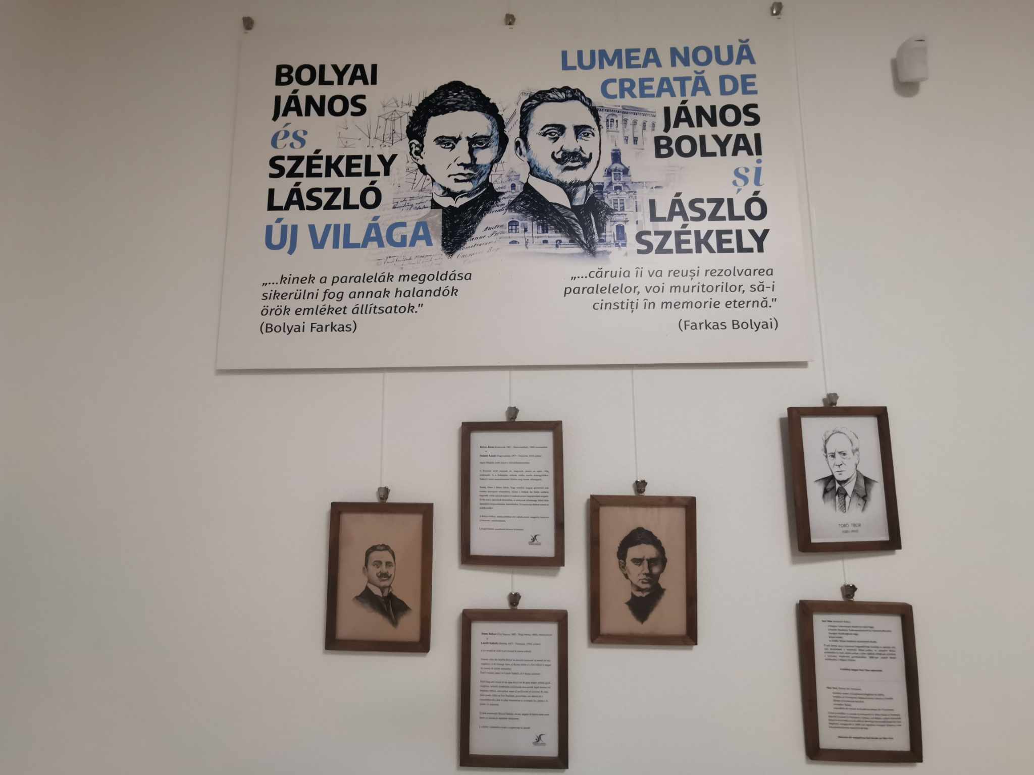 Sala Memorială Bolyai – Székely (13)