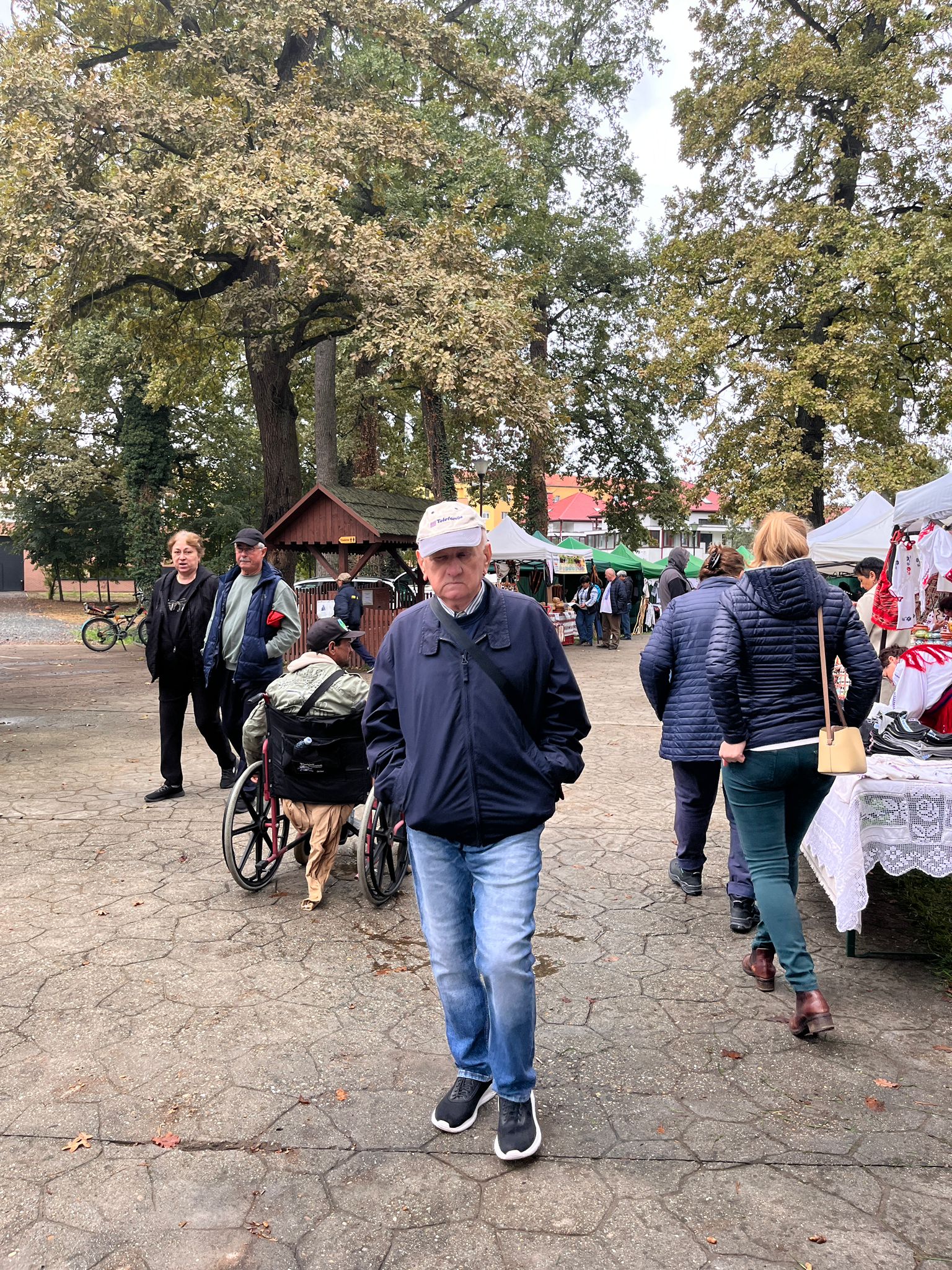 muzeul satului banatean targul mesterilor (4)