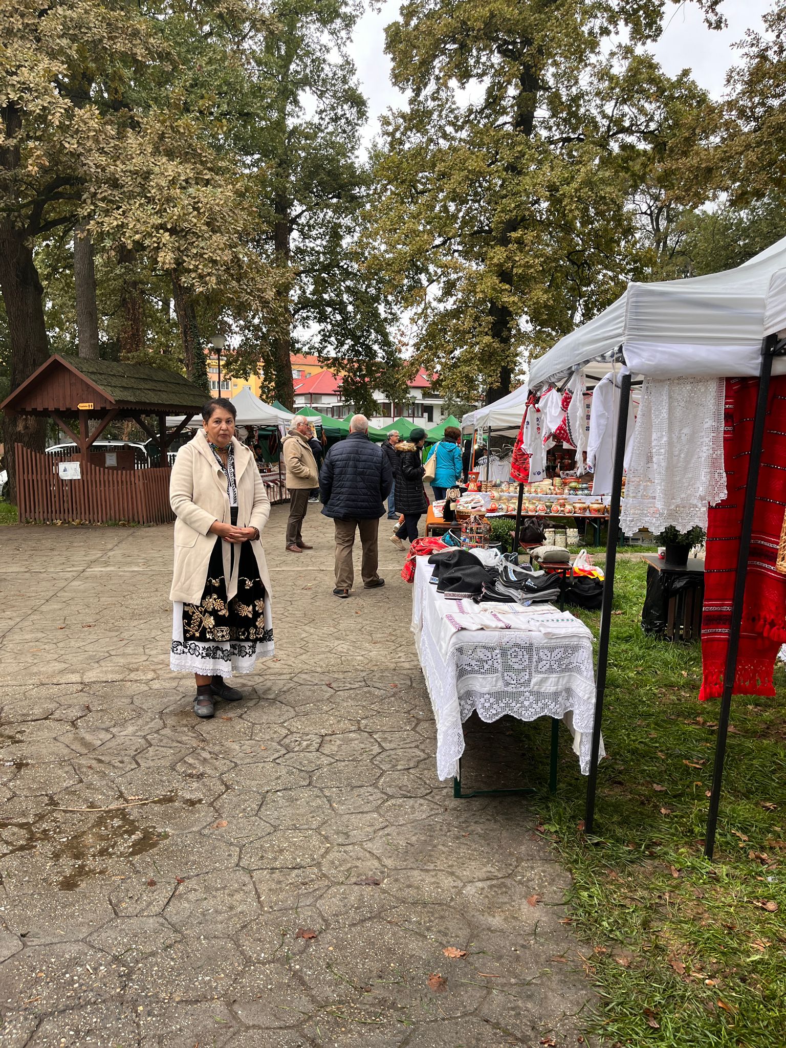 muzeul satului banatean targul mesterilor (6)