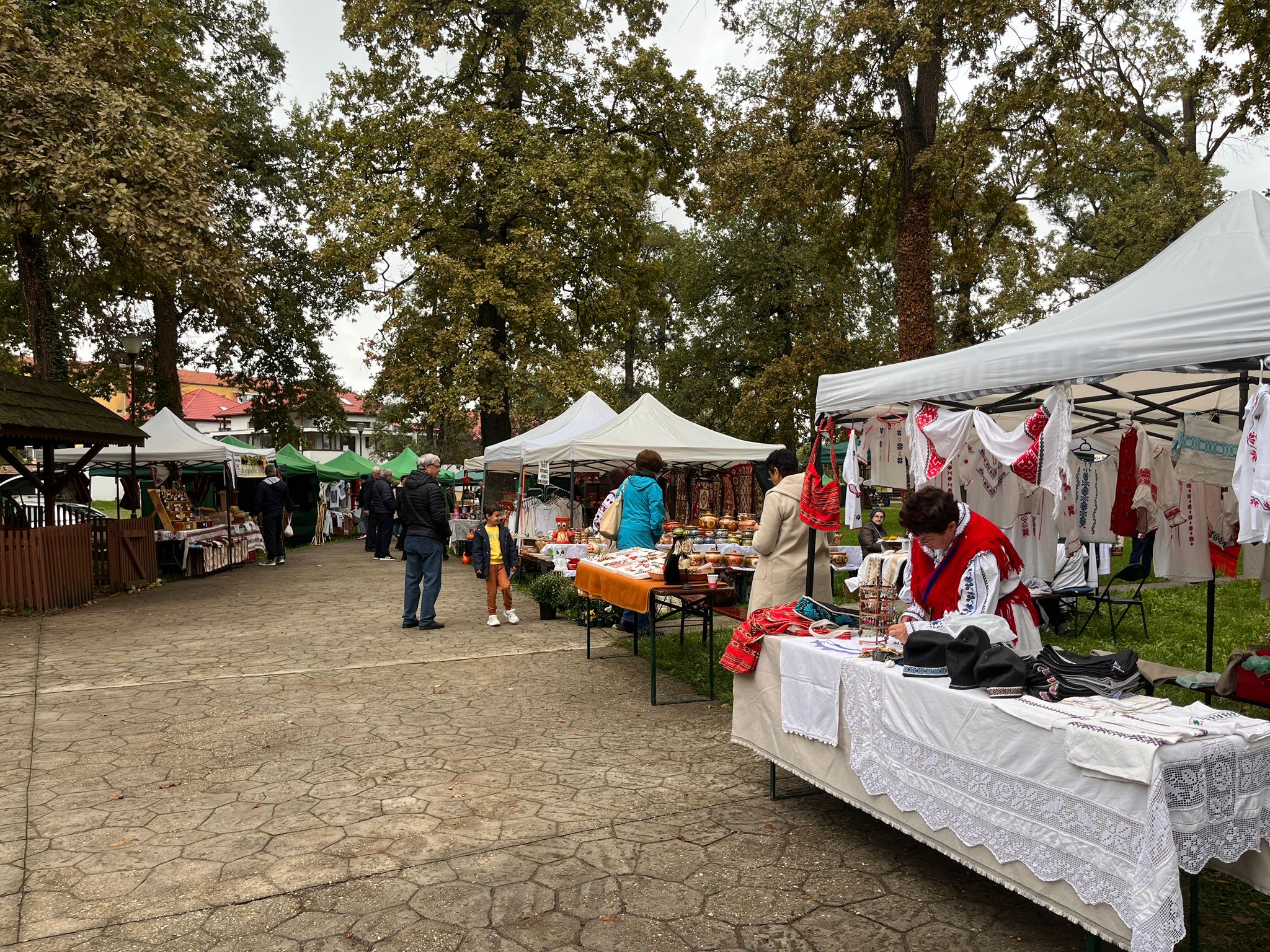 muzeul satului banatean targul mesterilor (7)