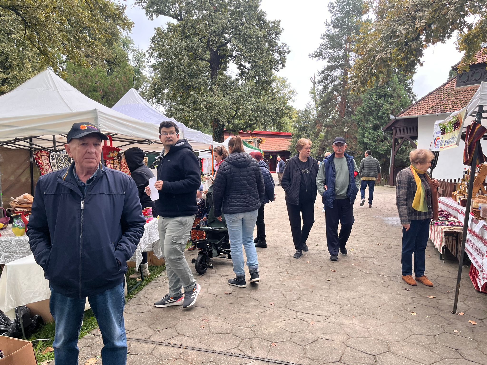 muzeul satului banatean targul mesterilor (22)