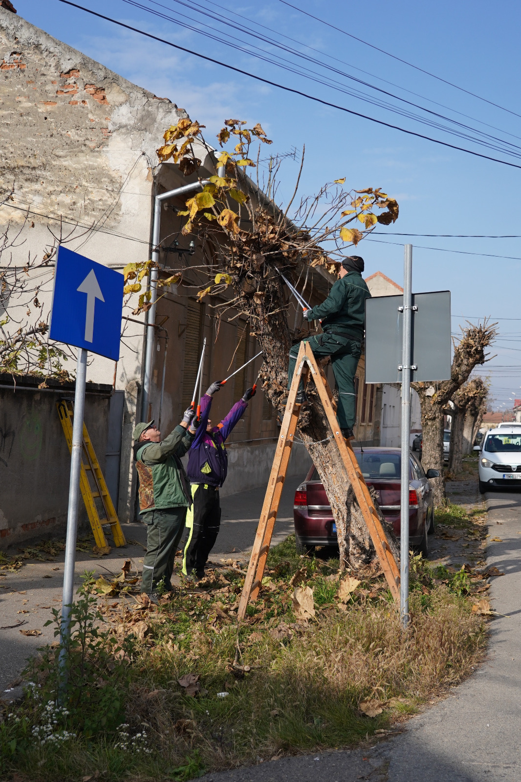 Curățenie de toamnă la Lugoj