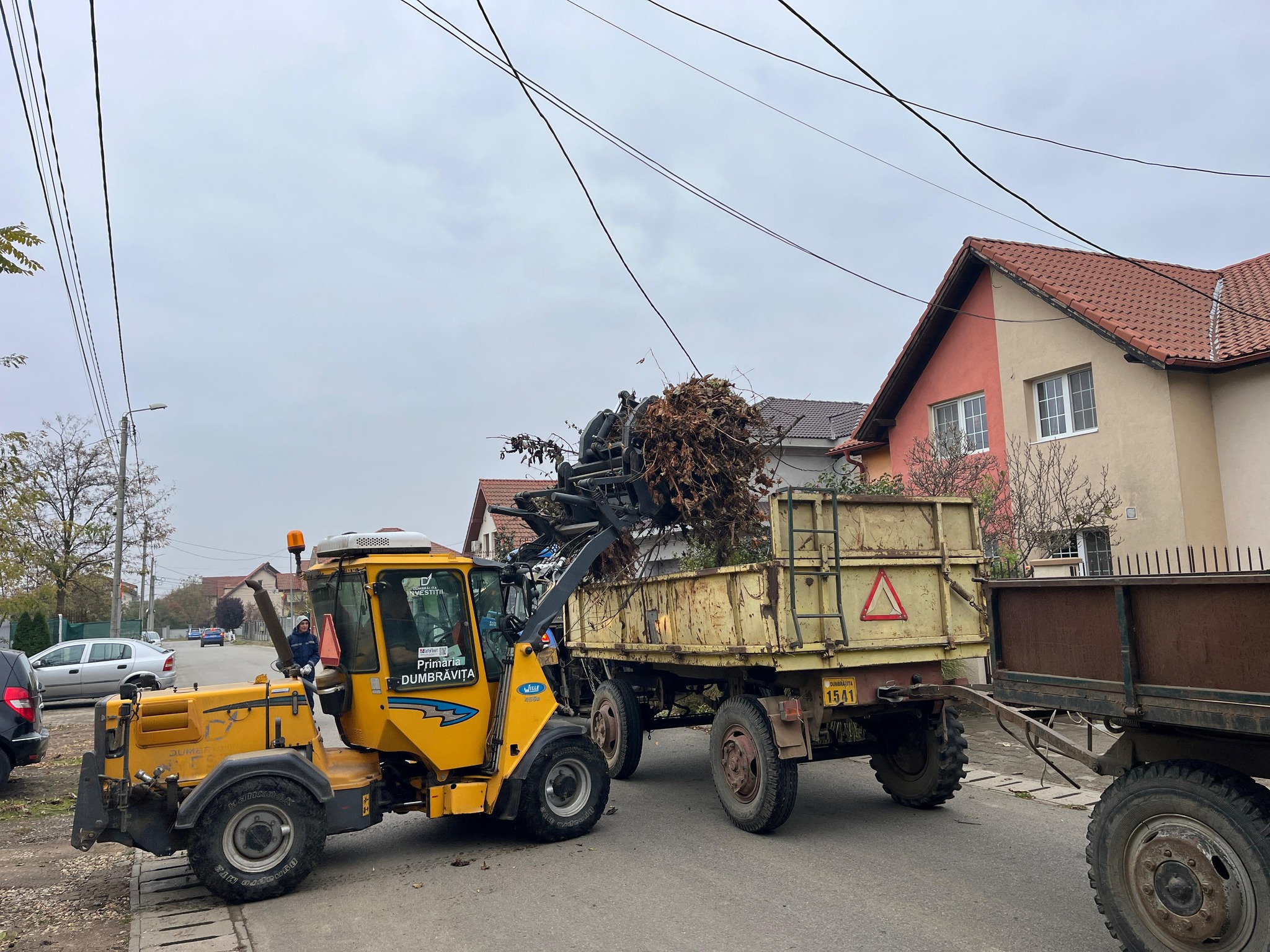 Curățenia de toamnă la Dumbrăvița