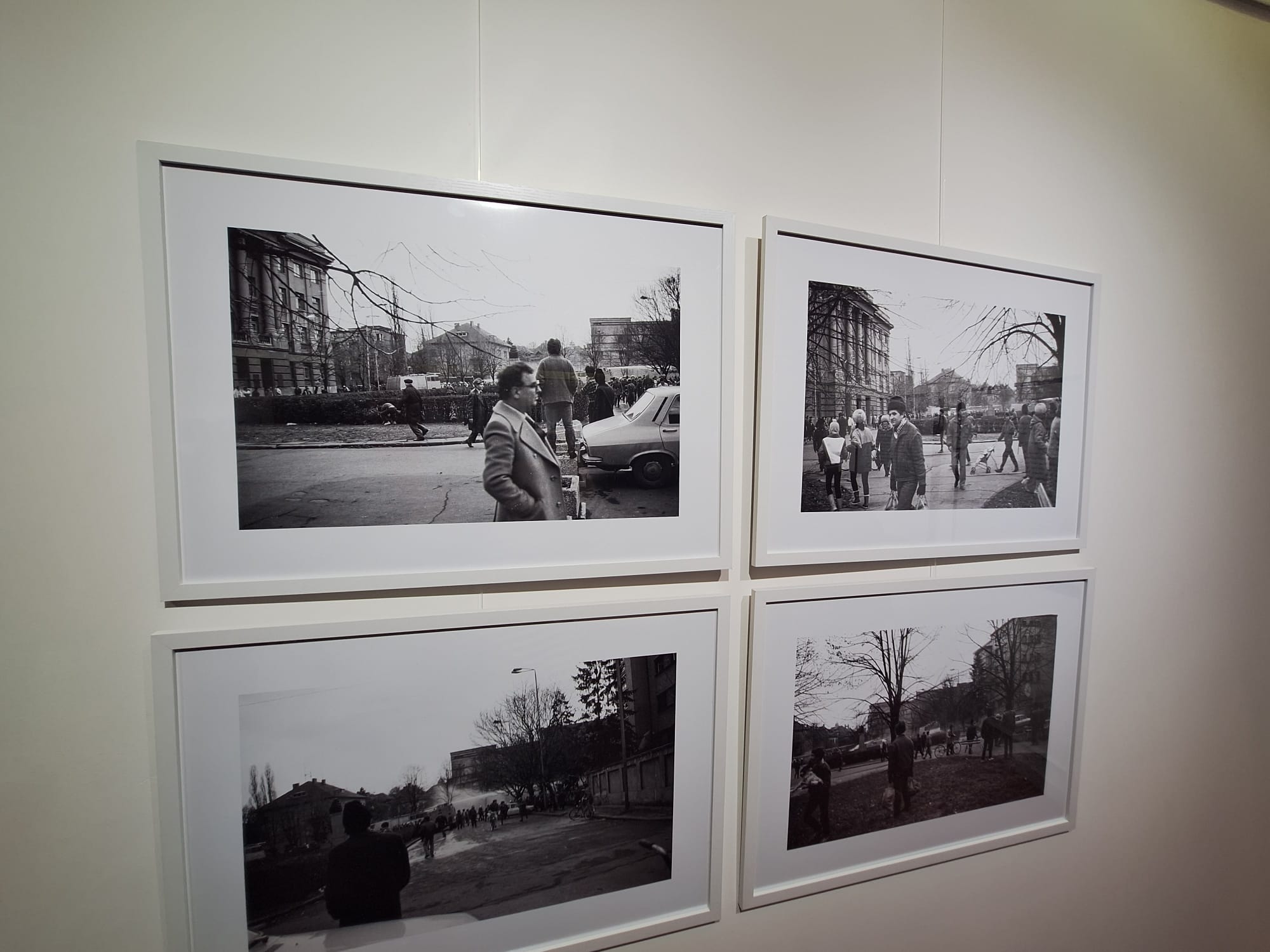 expozitie Constantin Duma (12)