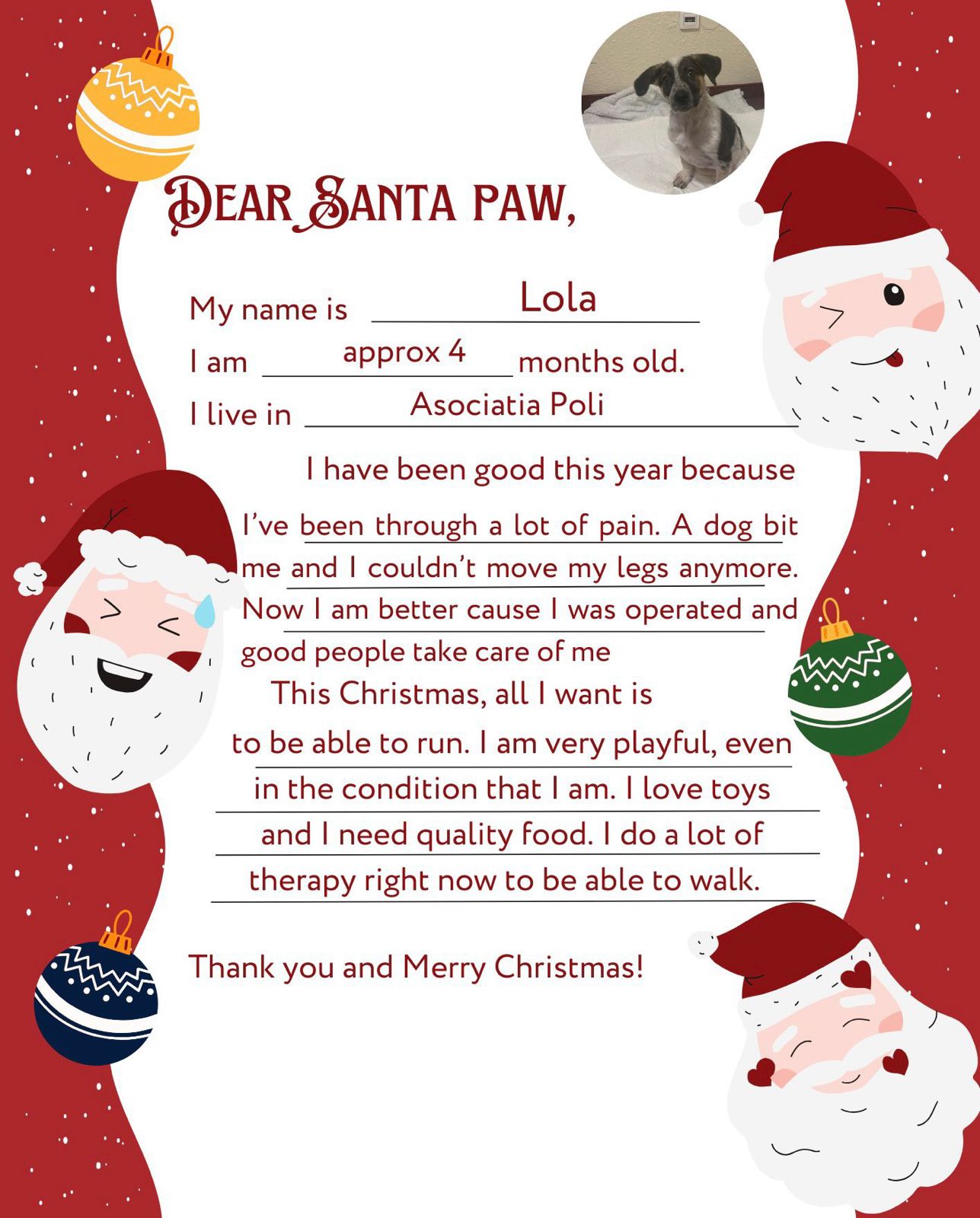 Santa Paws