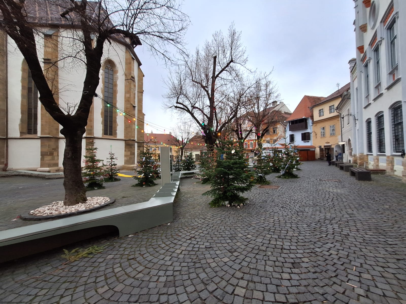 targul de craciun sibiu 2024 (15)