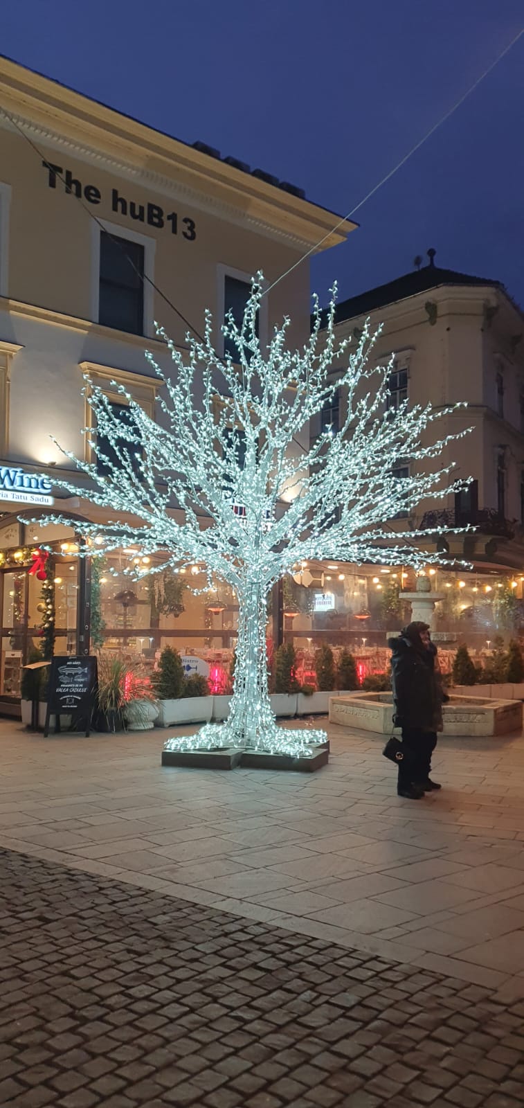 targul de craciun sibiu 2024 (23)