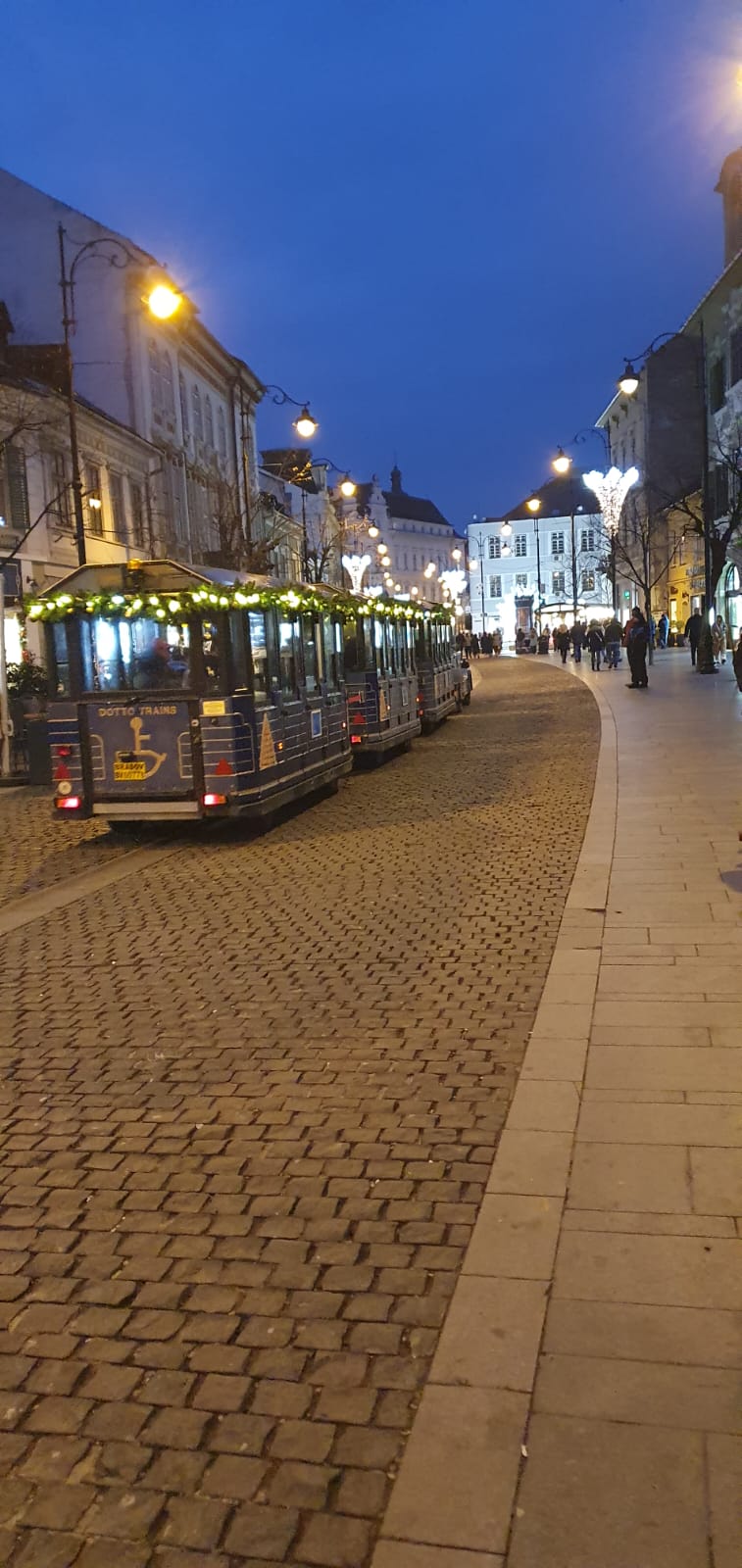 targul de craciun sibiu 2024 (24)