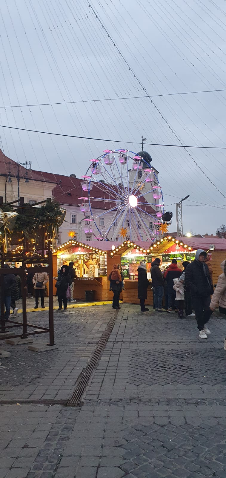 targul de craciun sibiu 2024 (26)