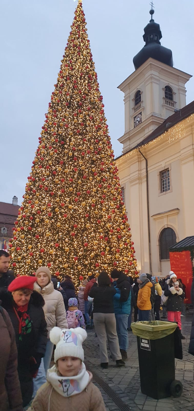 targul de craciun sibiu 2024 (30)